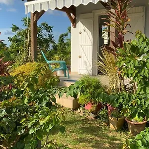 Appartement L'exotik, Les Abymes